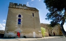 Castell de Gardeny, Lleida