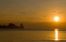 Expo Natura Catalana
