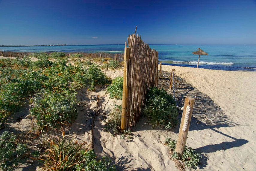 La Platja Des Trenc és Un Espai Litoral Gairebé Ve Mallorca Un Refugi On La Calma Perdura