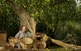 Ferran Recasens, de Fornells de la Selva, continua treballant el vímet i les canyes que ell mateix fa créixer al terreny de casa seva.