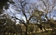 El bell barranc dels Horts és una microreserva de flora. D&#8217;entre la seua riquesa natural, convé remarcar l&#8217;existència d&#8217;una extensa roureda amb exemplars monumentals.