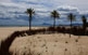 A la platja Nord de Gandia, la vegetació ajuda a fixar els moviments de les dunes. Al fons, entre les palmeres, es veu Dénia i el Montgó.