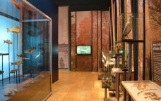 Una de les sales del Museu de les Terres de l'Ebre