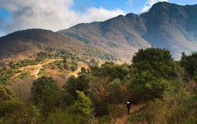 El coll de Sant Marçal