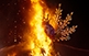 Les fogueres que s'encenen a Alacant el dia de Sant Joan tenen l'origen en el remot costum de cremar objectes amb el solstici d'estiu.
