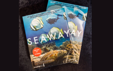 Srie documental 'Seaway'