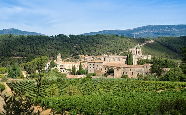 Monestir de Santes Creus