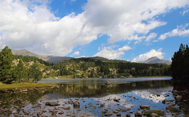 L'estany de les Bulloses