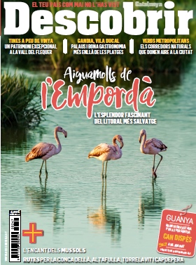 Portada DESCOBRIR 247 Portada DESCOBRIR 247