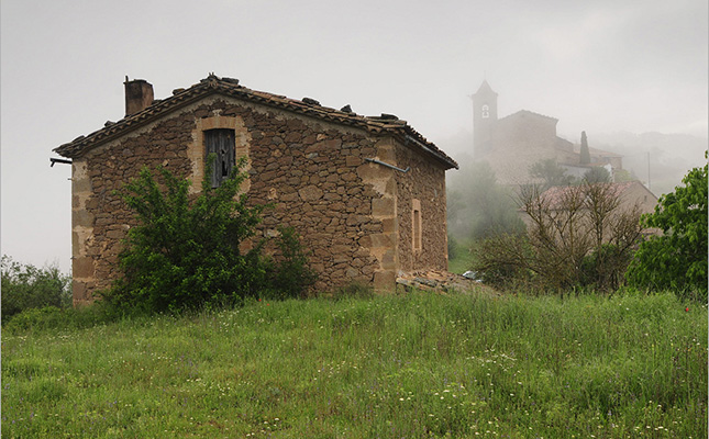 Dilegs mutus amb les svies pedres de Madrona