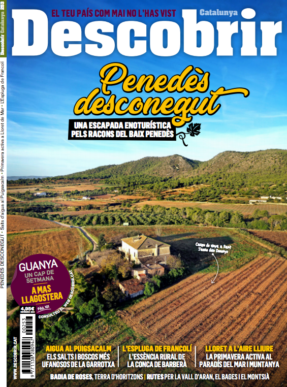 Portada 251 Portada 251
