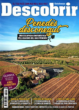 Portada DC 253 Portada DC 253