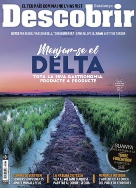 DES 261 DES 261
