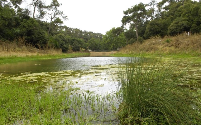 Pant de Vallvidrera