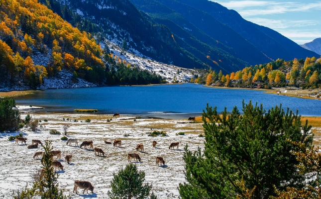 Estany de Sant Maurici