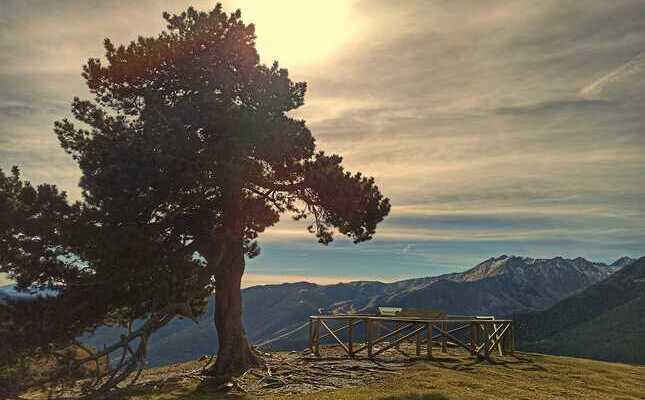 Mirador coll de Fogueruix