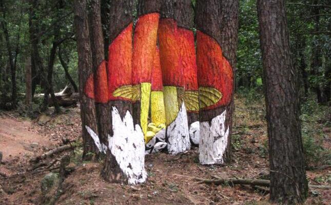 Bosc dels bolets pintats de Poblet