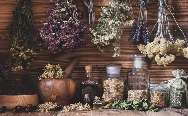 Herbes aromtiques en pots