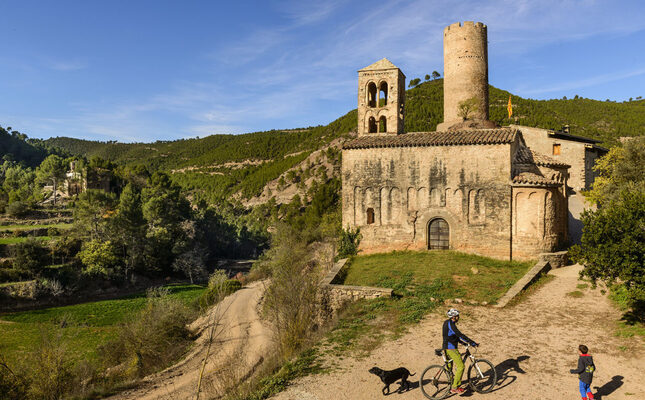 Castell de Coaner