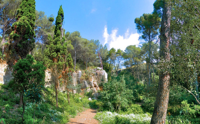 Pedrera de Mdol