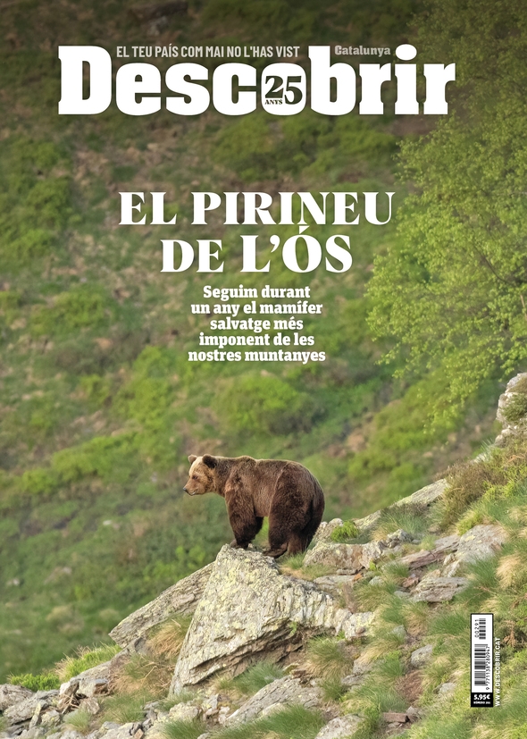 Pirineu de l'os Pirineu de l'os