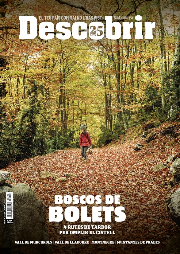 Portada 292 Portada 292