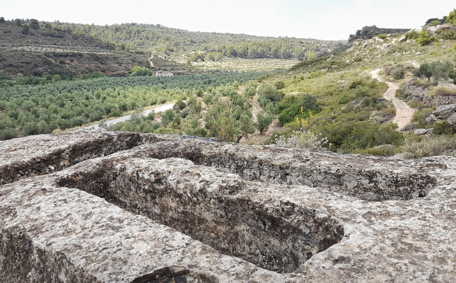 Ruta a peu