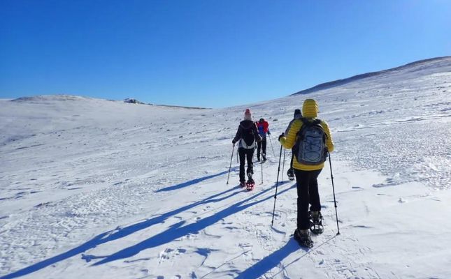 Bateig de raquetes de neu