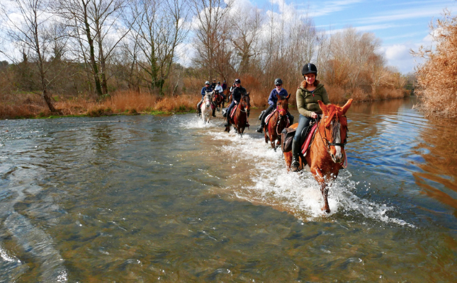 Classes d'equitació i excursions a cavall