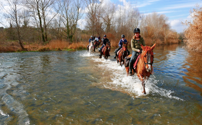 Classes d'equitaci i excursions a cavall