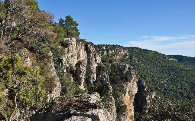 Els cingles de Mont-ral, un dels espais naturals per on passa la ruta 'El Brogit de la Vall'