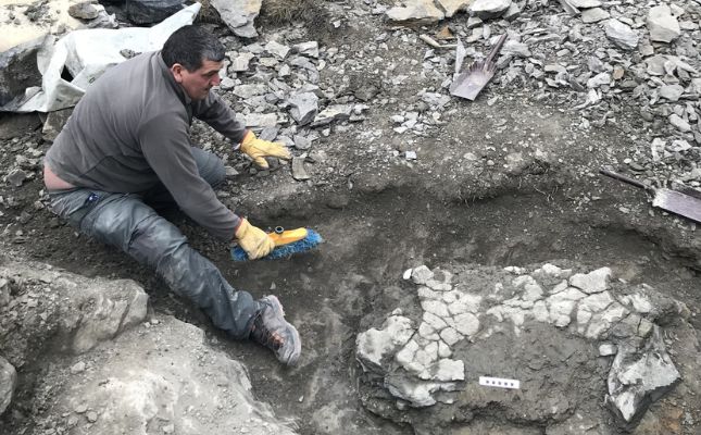 L'excavació a Coll de Nargó