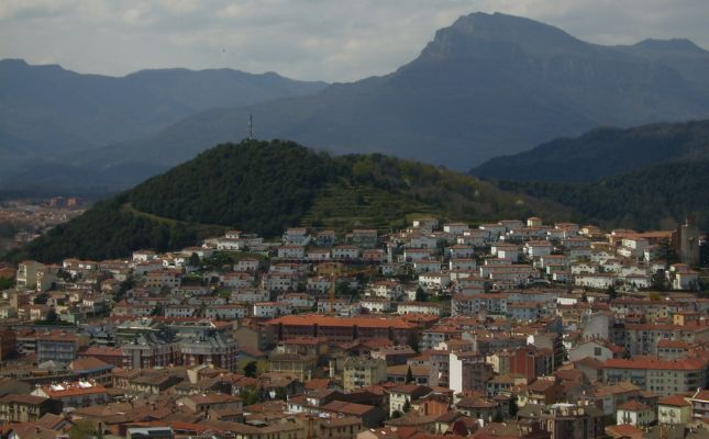 Vista d'Olot des del volc de Montolivet