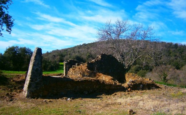 El volc del Puig d'Adri