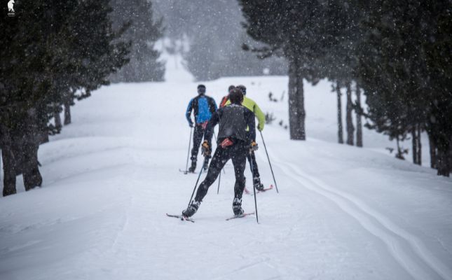 Les pistes d'esquí de Sant Joan de l'Erm
