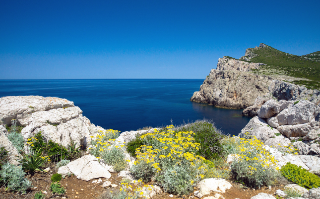 Porto Conte