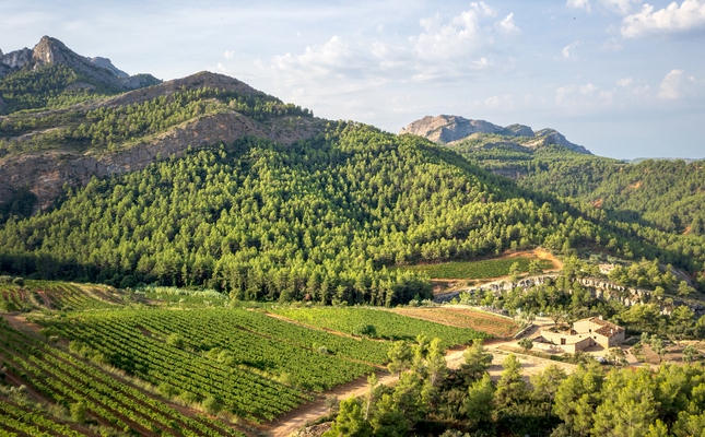 Terra alta