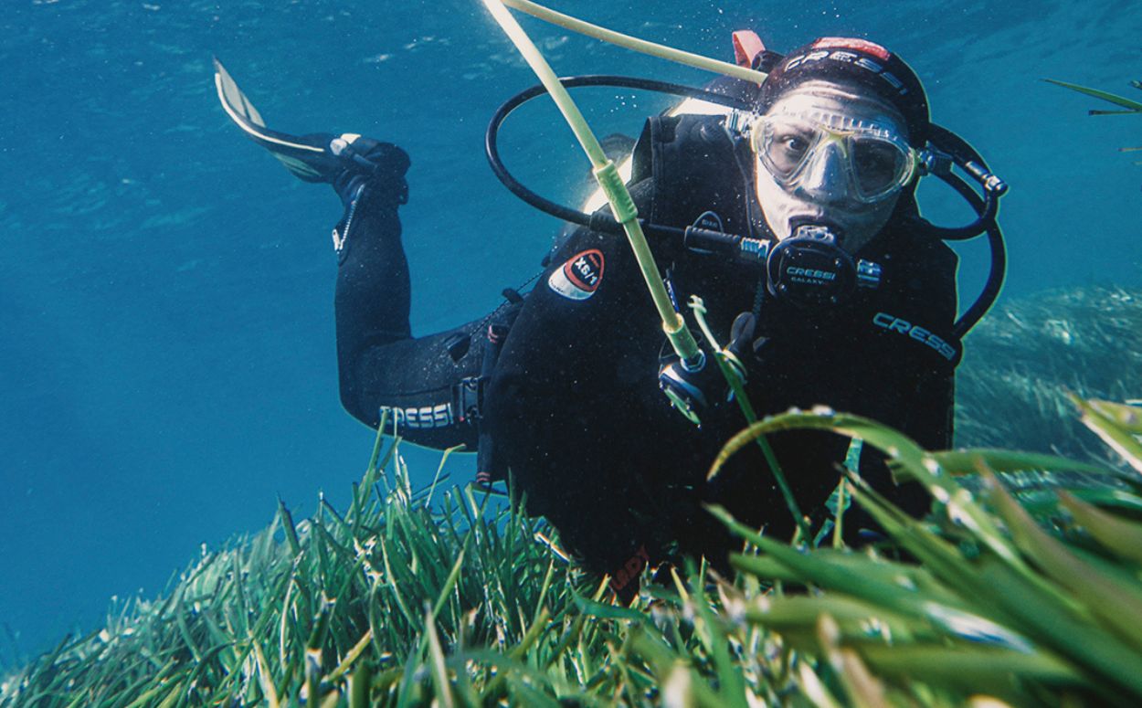Submarinimse