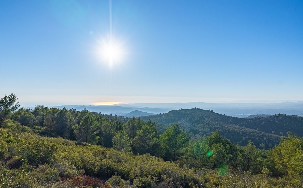 Puig de l'liga