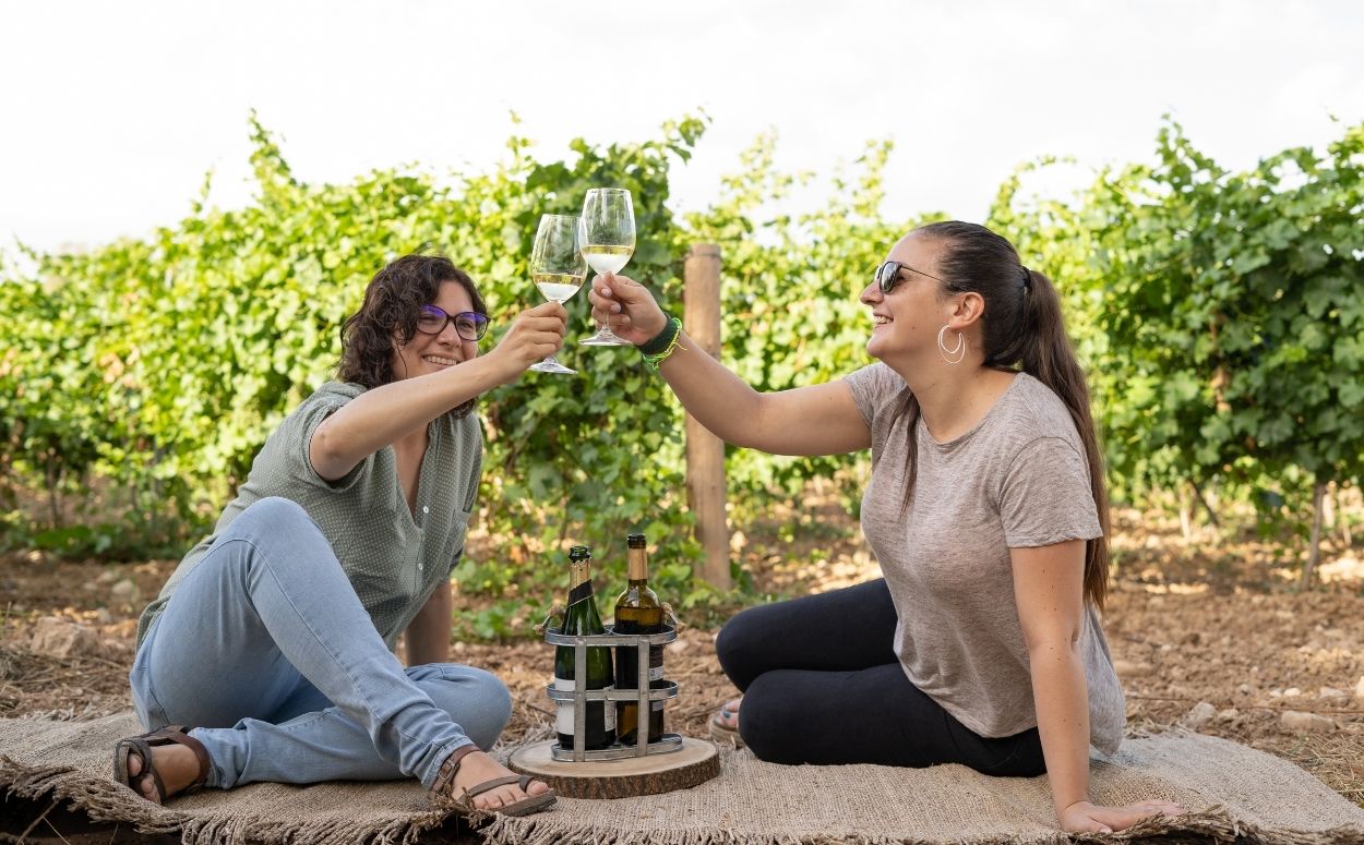 Penedes picnic