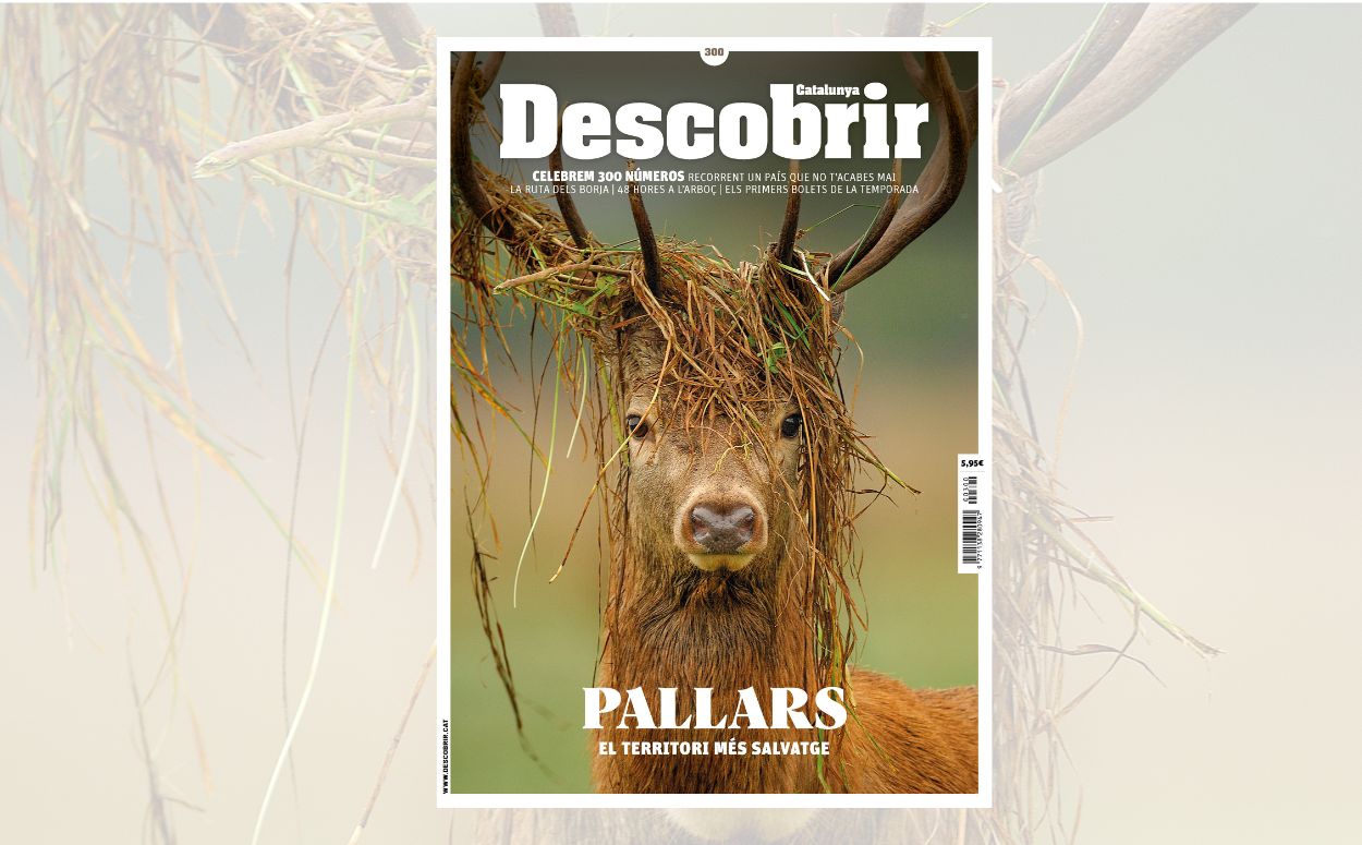 portada Pallars Salvatge