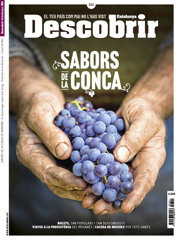 Portada 301 Portada 301