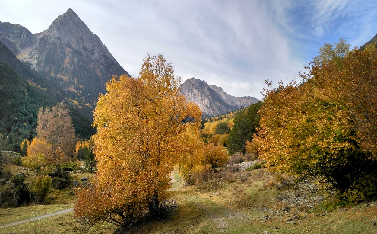 Natura tardor