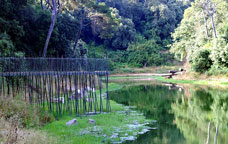 El pantà de Vallvidrera