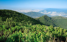 Serralada de Marina