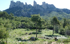 La finca de Can Maçana