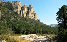 Parc natural dels Ports