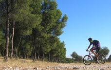 TransCatalunya