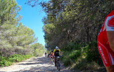 Pedals del Cister