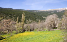 Meranges, Cerdanya